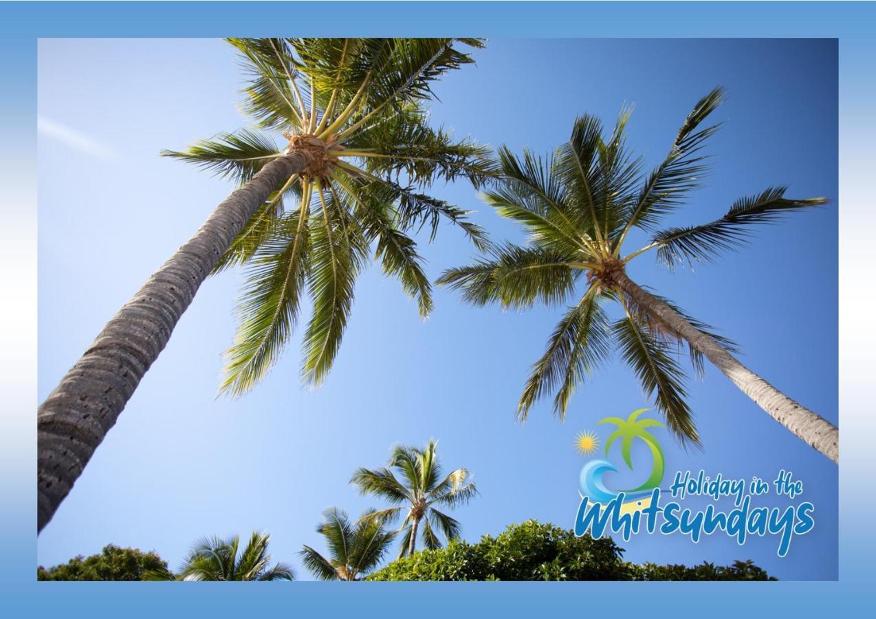 Ocean Views 16 Pool & Spa Wi-Fi Airlie Beach Exterior foto